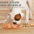 Outward Hound (Nina Ottosson) Dog Smart Composite Interactive Treat Puzzle Dog Toy, Orange