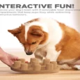 Outward Hound (Nina Ottosson) Dog Smart Composite Interactive Treat Puzzle Dog Toy, Tan