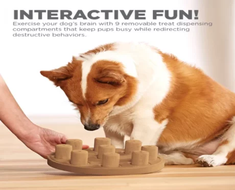 Outward Hound (Nina Ottosson) Dog Smart Composite Interactive Treat Puzzle Dog Toy, Tan at ithinkpets.com (2)