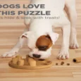 Outward Hound (Nina Ottosson) Dog Smart Composite Interactive Treat Puzzle Dog Toy, Tan