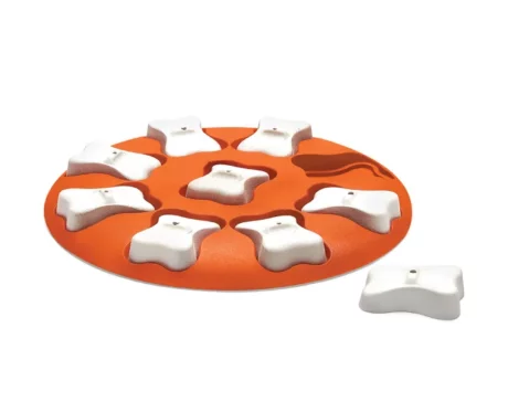 Outward Hound (Nina Ottosson) Dog Smart Puzzle Toy at ithinkpets.com (1)