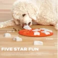 Outward Hound (Nina Ottosson) Dog Smart Puzzle Toy