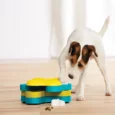 Outward Hound (Nina Ottosson) Dog Tornado Interactive Treat Puzzle Dog Toy, Blue