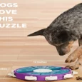 Outward Hound (Nina Ottosson) Dog Twister Interactive Treat Puzzle Dog Toy, Purple