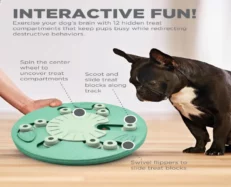 Outward Hound (Nina Ottosson) Dog Worker Interactive Treat Puzzle Dog Toy, Green at ithinkpets.com (2)