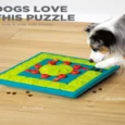 Outward Hound (Nina Ottosson) MultiPuzzle Interactive Dog Treat Puzzle Toy, Blue