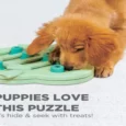 Outward Hound (Nina Ottosson) Puppy Hide N Slide Interactive Treat Puzzle Dog Toy, Green