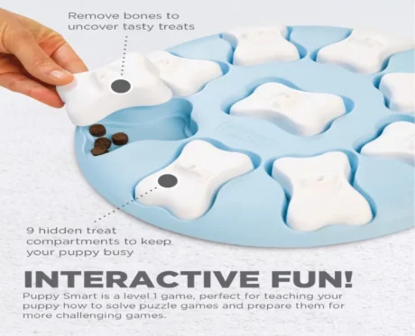 Outward Hound (Nina Ottosson) Puppy Smart Interactive Treat Puzzle Dog Toy, Blue at ithinkpets.com (2)