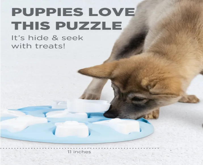 https://ithinkpets.com/wp-content/uploads/2023/04/Outward-Hound-Nina-Ottosson-Puppy-Smart-Interactive-Treat-Puzzle-Dog-Toy-Blue-at-ithinkpets.com-4.webp