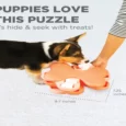 Outward Hound (Nina Ottosson) Puppy Tornado Interactive Treat Puzzle Dog Toy