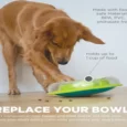 Outward Hound (Nina Ottosson) Wobble Bowl Interactive Treat Puzzle Dog Toy