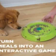 Outward Hound (Nina Ottosson) Wobble Bowl Interactive Treat Puzzle Dog Toy