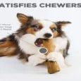 Petstages Dogwood Tough Dog Chew Toy