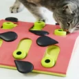 Petstages Melon Madness Puzzle And Play Cat Game