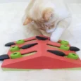 Petstages Melon Madness Puzzle And Play Cat Game