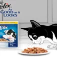 Purina Felix Chicken with Jelly Adult Cat Wet Food, 85 Gms