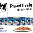 Purina Felix Mackerel with Jelly Adult Cat Wet Food, 85 Gms
