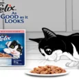 Purina Felix Salmon with Jelly Adult Cat Wet Food, 85 Gms