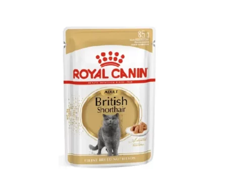 Royal Canin British Shorthair Adult Cat Wet Food, 85 Gms at ithinkpets.com (1)