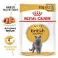 Royal Canin British Shorthair Adult Cat Wet Food, 85 Gms