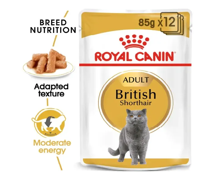 Royal Canin British Shorthair Adult Cat Wet Food, 85 Gms at ithinkpets.com (2)