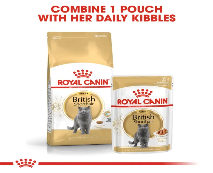 Royal Canin British Shorthair Adult Cat Wet Food, 85 Gms at ithinkpets.com (4)