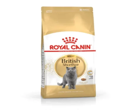 Royal Canin British Shorthair Adult Dry Cat Food, 2kg at ithinkpets.com (1)