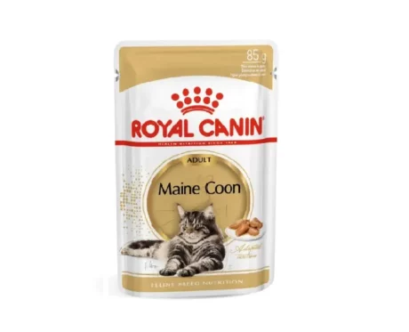 Royal Canin Maine Coon Adult Cat Wet Food, 85 Gms at ithinkpets.com (1)