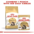 Royal Canin Maine Coon Adult Cat Wet Food, 85 Gms