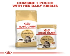 Royal Canin Maine Coon Adult Cat Wet Food, 85 Gms at ithinkpets.com (2)