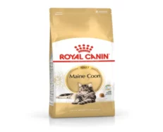 Royal Canin Maine Coon Adult Dry Cat Food, 2kg at ithinkpets.com (1)