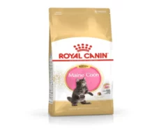 Royal Canin Maine Coon Kitten Dry Cat Food, 2Kg at ithinkpets.com (1)