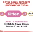 Royal Canin Maine Coon Kitten Dry Cat Food, 2Kg