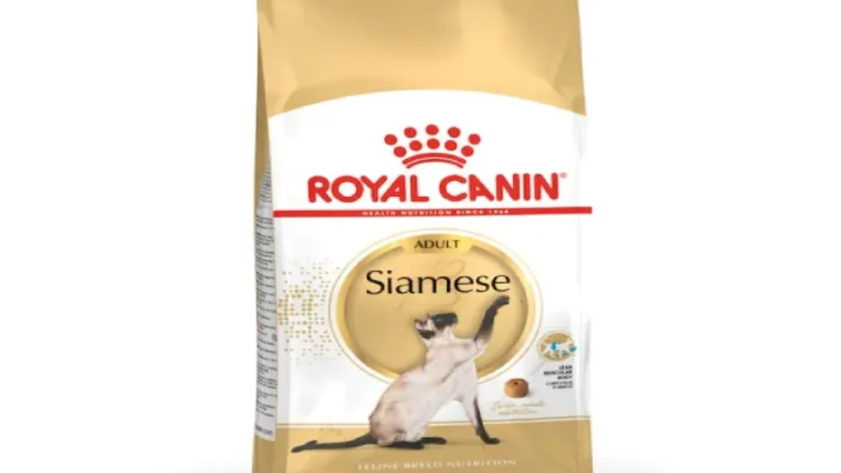 Buy Royal Canin Siamese Adult Dry Cat Food Tailored Nutrition