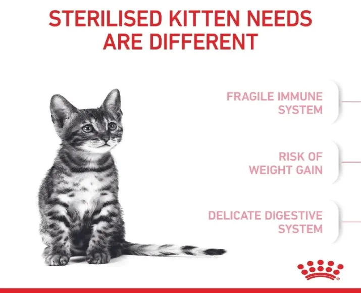 Royal Canin Sterilised Care Kitten Dry Cat Food, 1.2 Kg at ithinkpets.com (5)