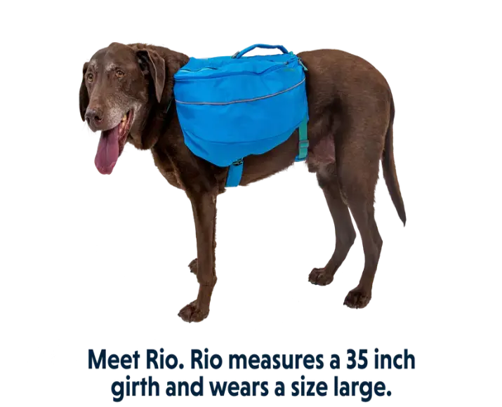 Ruffwear Approach Dog Backpack Blue Dusk at ithinkpets.com