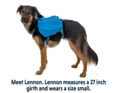 Ruffwear Approach Dog Backpack Blue Dusk at ithinkpets.com