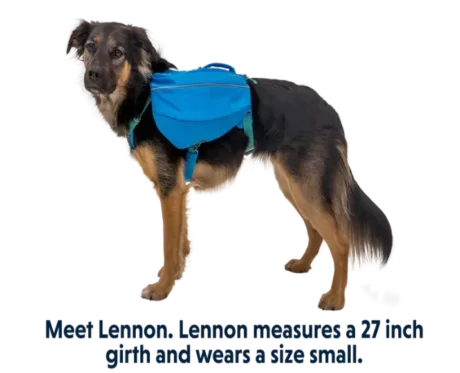 Ruffwear Approach Dog Backpack Blue Dusk at ithinkpets.com