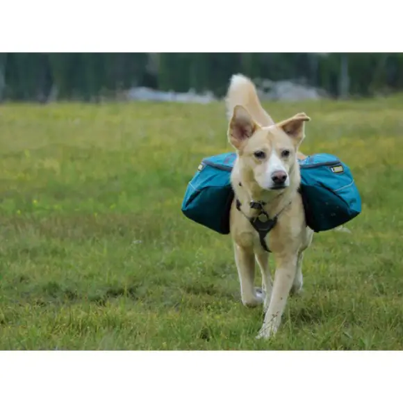 Dog Back Pack Ruffwear Approach Dog Pack Hike Camp Dog Camping