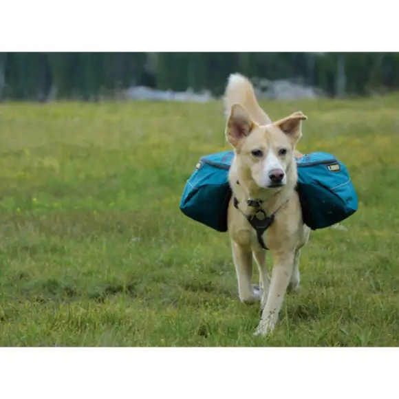Ruffwear Approach Dog Backpack at ithinkpets.com