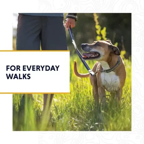 Ruffwear Chain Reaction Martingale Blue Dusk at ithinkpets.com