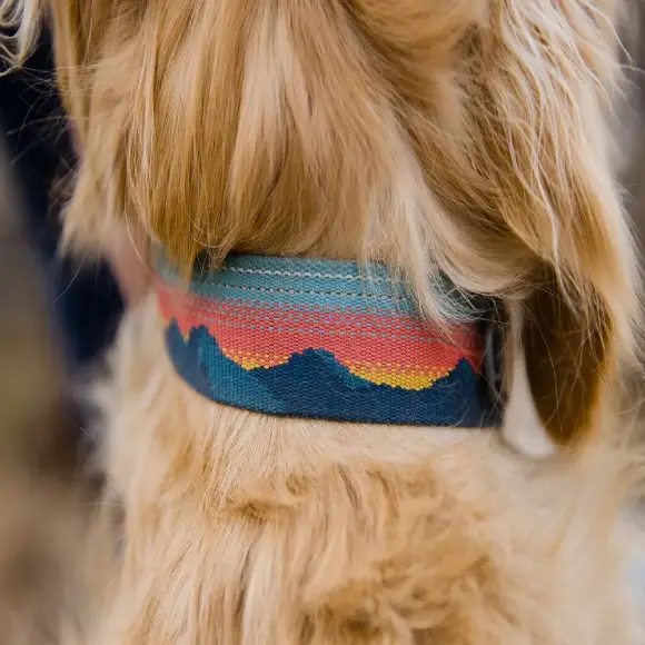 Ruffwear Chain Reaction Martingale Sunset at ithinkpets.com