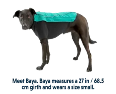 Ruffwear Cloud Chaser Aurora Teal at ithinkpets.com