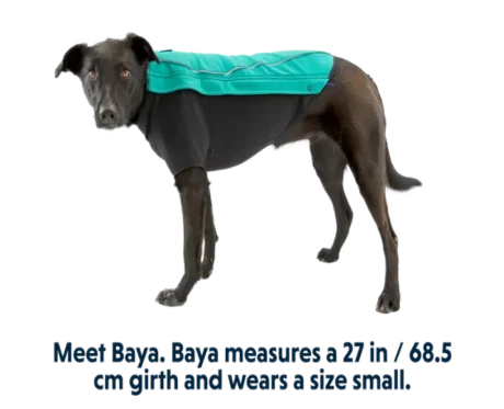 Ruffwear Cloud Chaser Aurora Teal at ithinkpets.com