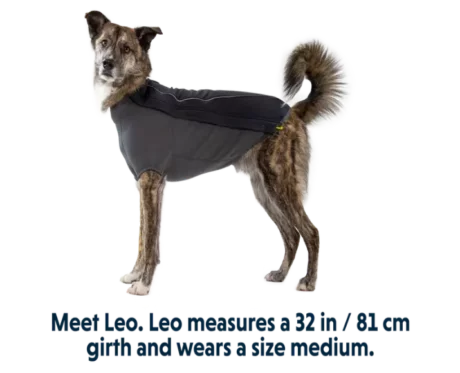 Ruffwear Cloud Chaser Obsidian Black at ithinkpets,com