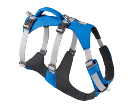 Ruffwear Flagline Blue Dusk at ithinkpets.com