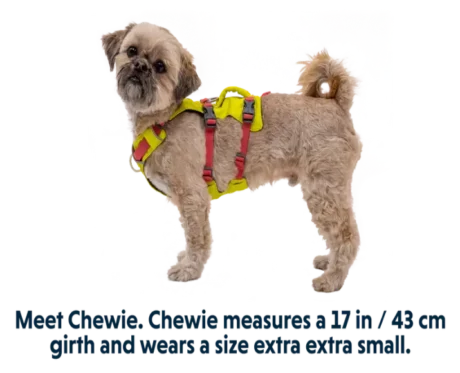 Ruffwear Flagline Lichen Green Dog at ithinkpets.com