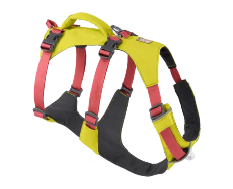 Ruffwear Flagline Lichen Green Dog at ithinkpets.com