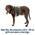 Ruffwear Flagline Sage Green Dog Harness with Handle