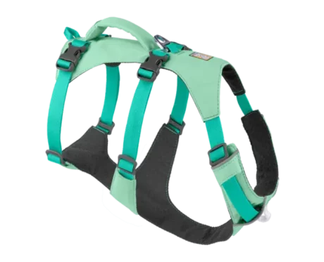 Ruffwear Flagline Sage Green at ithinkpets.com